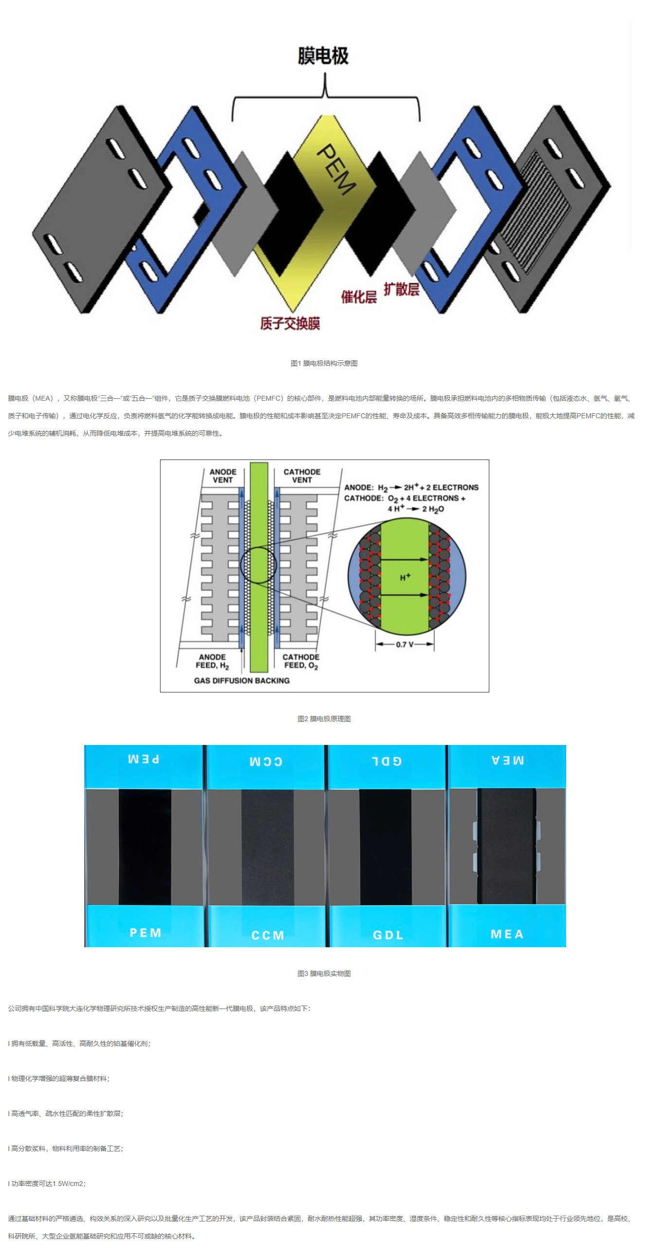 中能（néng）大友DAYO膜（mó）電極（MEA）測試配件.png